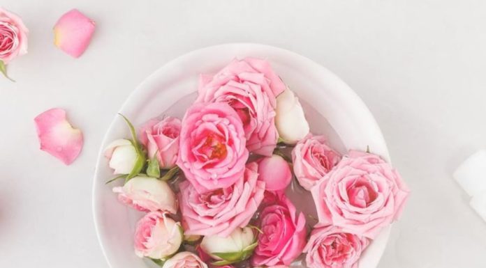 Natural and Gentle Rose Water You Can Make at Home