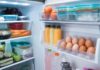 Why You Should Clean Your Refrigerator after Lunar New Year: Quick and Easy Tips
