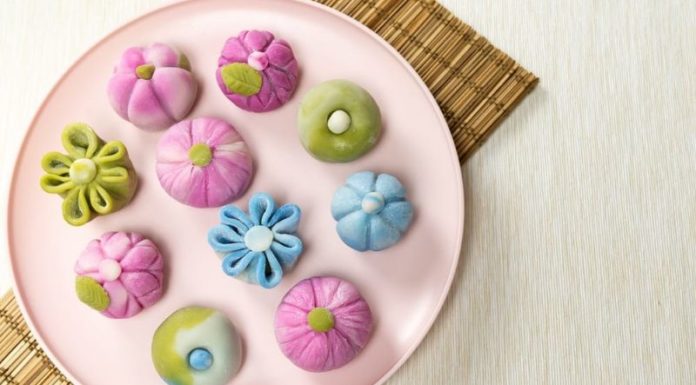 Wagashi: Discovering the Origin, History, and Significance of the Delicacy