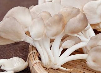 Are Enoki Mushrooms High in Calories? Can You Gain Weight by Eating Them?