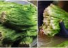 Water Chives of the Western Region – A Must-Try Delicacy from the Aquatic Vegetable Realm