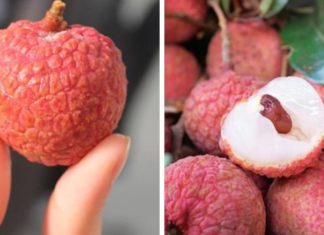 “The Ultimate Guide to Choosing the Perfect Pomegranate: Size, Taste, and Quality”
