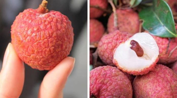 “The Ultimate Guide to Choosing the Perfect Pomegranate: Size, Taste, and Quality”