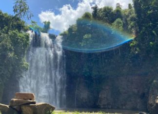 Di Linh (Lam Dong) Tourism: Exploring the Top 5 Alluring Attractions