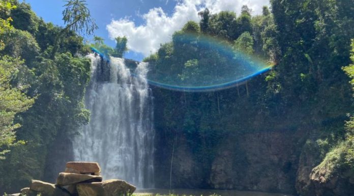 Di Linh (Lam Dong) Tourism: Exploring the Top 5 Alluring Attractions