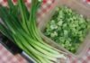 The Ultimate Guide to Storing Green Onions