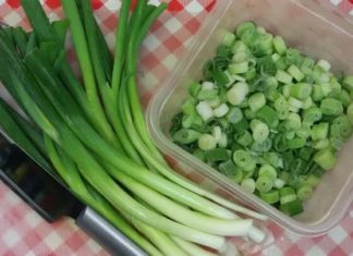 The Ultimate Guide to Storing Green Onions