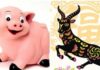 “3 Zodiac Animals Experience a Lucky Streak: Prosperity and Love Shine Bright in the First 2 Days of June”