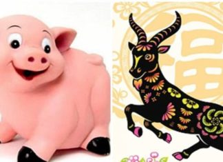 “3 Zodiac Animals Experience a Lucky Streak: Prosperity and Love Shine Bright in the First 2 Days of June”