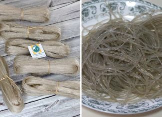 How Many Calories Are in Rice Noodles? Can Eating Rice Noodles Make You Fat?