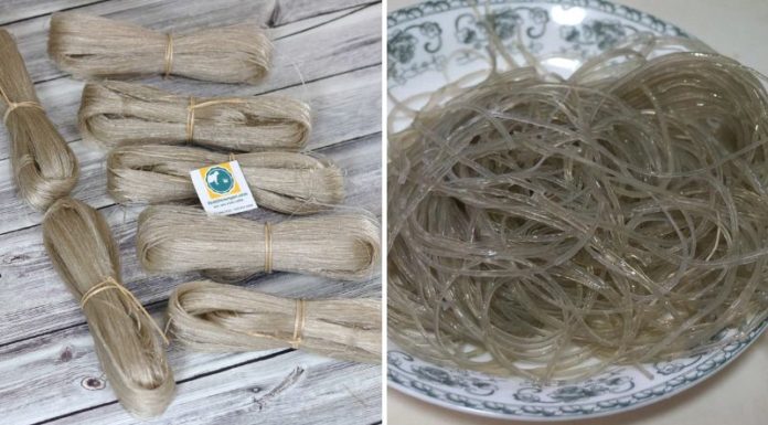 How Many Calories Are in Rice Noodles? Can Eating Rice Noodles Make You Fat?