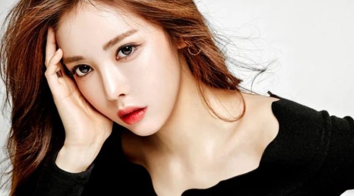 The Most Popular and Beautiful Colored Contact Lenses