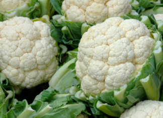 “The Ultimate Guide to Choosing the Perfect Broccoli: Secrets Your Grocer Won’t Tell You”