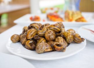 Is There Any Truth to the Claim That Eating Escargot During Pregnancy Leads to Excessive Drooling in Infants?
