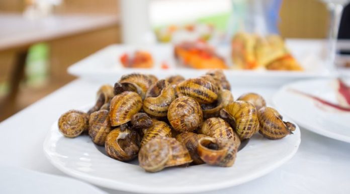 Is There Any Truth to the Claim That Eating Escargot During Pregnancy Leads to Excessive Drooling in Infants?