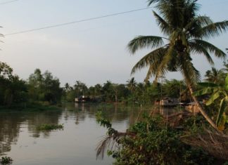 The Ultimate Guide to Tam Binh’s Top 2 Tourist Attractions for an Exciting Trip