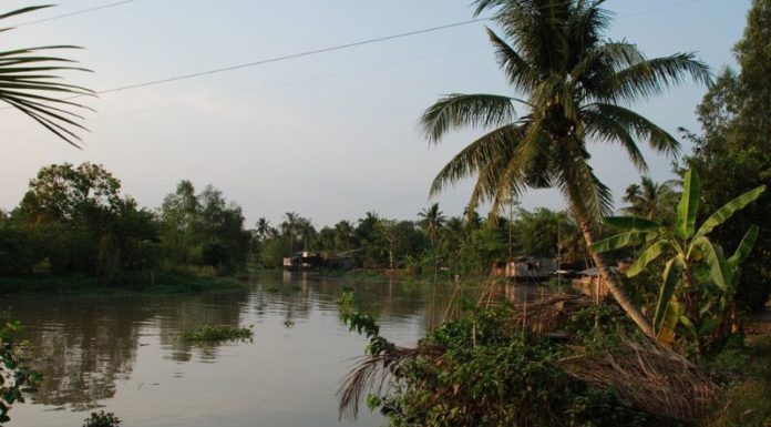 The Ultimate Guide to Tam Binh’s Top 2 Tourist Attractions for an Exciting Trip