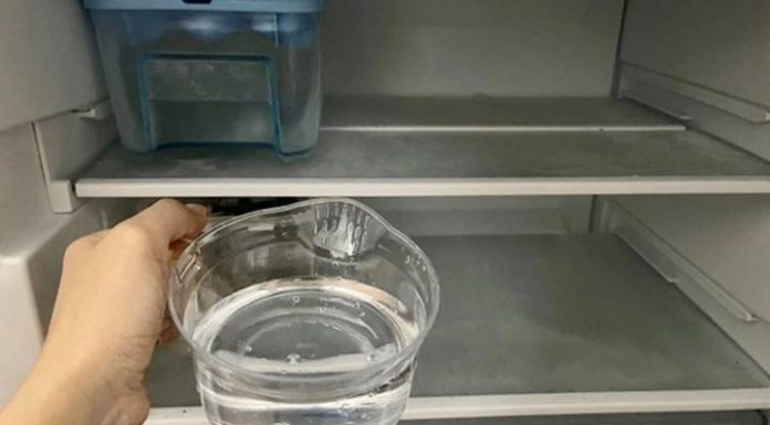 A Simple Yet Effective Tip: Keep Your Fridge Cool With a Bowl of Water