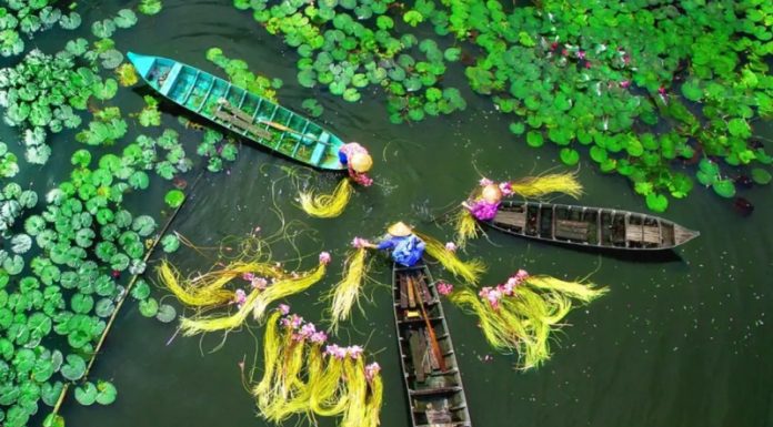 Why Not Embark on a Photo-Worthy Adventure to the Western Region This Year?