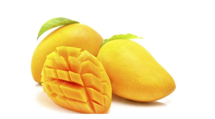 “The Big Difference: Naturally Ripened Mangoes vs. Chemically Ripened Mangoes”