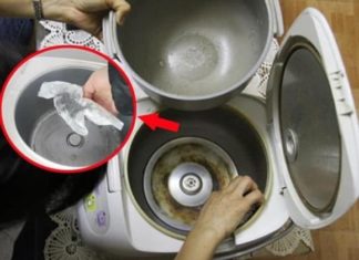 The 4 Dirtiest Spots on Your Rice Cooker That Need a Deep Clean to Keep Cancer at Bay