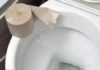 Is Toilet Paper Meant to Be Flushed or Tossed? Get It Right or Risk a Messy Bathroom All Year