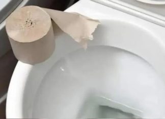 Is Toilet Paper Meant to Be Flushed or Tossed? Get It Right or Risk a Messy Bathroom All Year