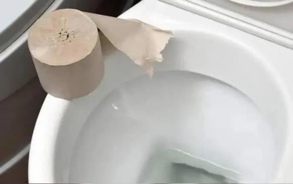 Is Toilet Paper Meant to Be Flushed or Tossed? Get It Right or Risk a Messy Bathroom All Year