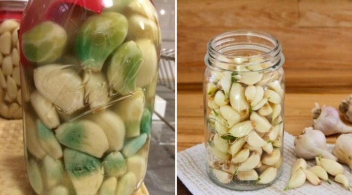 Why Does Garlic Turn Green in Vinegar? Can This Be Prevented?