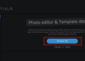 The Magic of Monochrome: Transform Your Color Photos to Black and White with a Simple Online Trick