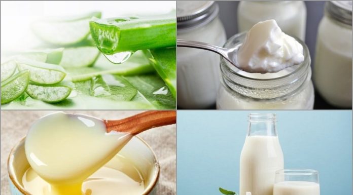 Is Sugar-Free Yogurt Low in Calories? Can I Drink It Without Getting Fat?