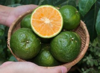 7 Fruits You Need to Include in Your Weight Loss Arsenal: Especially the Third One!