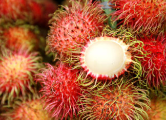 Chom Chom Calorie Count: Unveiling the Truth About This Tasty Treat’s Impact on Your Waistline