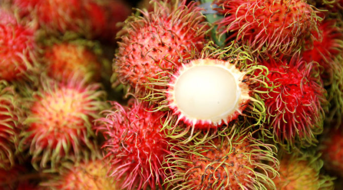 Chom Chom Calorie Count: Unveiling the Truth About This Tasty Treat’s Impact on Your Waistline