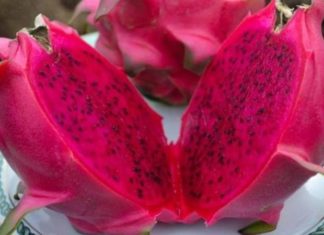 How Many Calories Are in a Red Dragon Fruit? Can Eating a Lot of It Make You Fat?