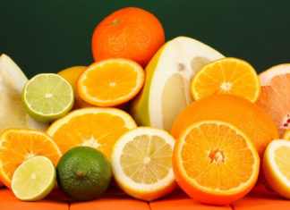 10 Surefire Ways to Get Rid of Dog Ticks Fast and Effectively at Home