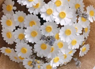 The Ultimate Guide: 10 Creative DIY Gift Ideas for Your Loved Ones This 20/10