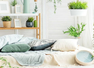 10 Types of Houseplants That Are Better Off Kept Out of the Bedroom
