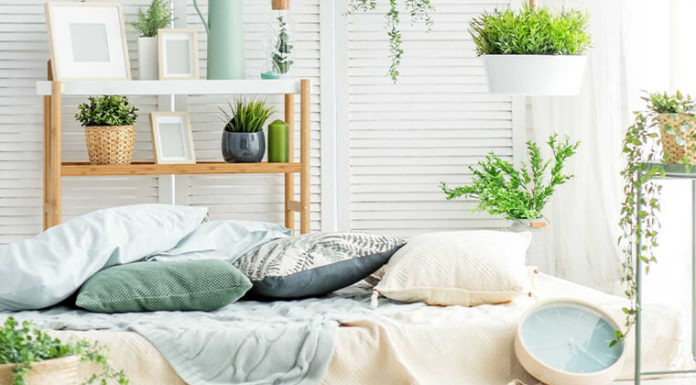 10 Types of Houseplants That Are Better Off Kept Out of the Bedroom