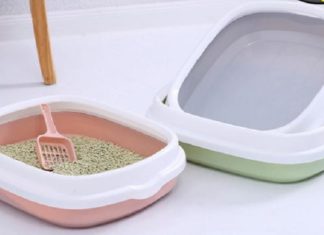 10 Best Cat Litter Trays: A Comfortable and Affordable Selection