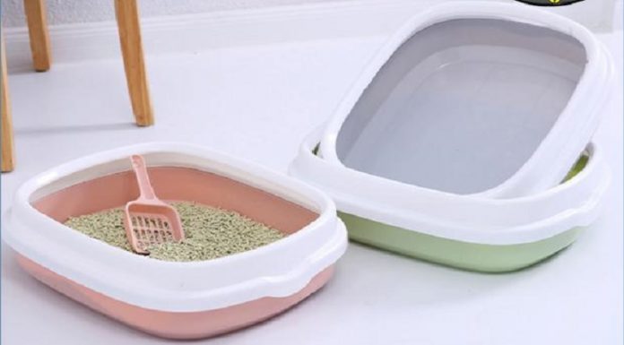 10 Best Cat Litter Trays: A Comfortable and Affordable Selection