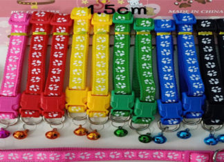 The Top 10 Cat Collars: A Purr-fect Guide to the Best Options for Your Feline Friend