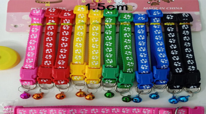 The Top 10 Cat Collars: A Purr-fect Guide to the Best Options for Your Feline Friend