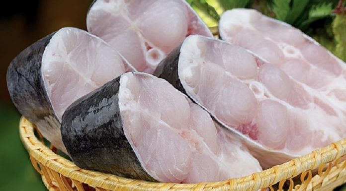 Is Basa Fish Healthy? Calories and Nutrition Facts.