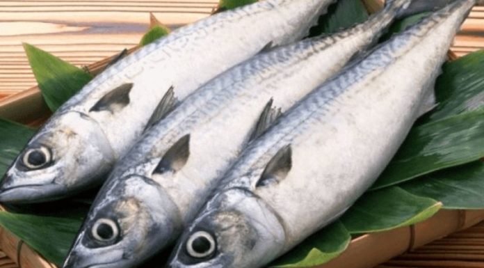 What’s the Caloric Value of 100g of Mackerel? Is It a Fattening Fish?