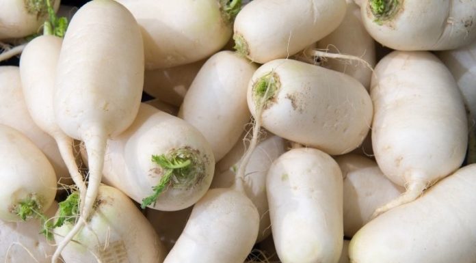 Is Turnip Calorific? A Tasty Treat or Dietary Disaster?
