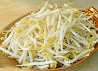 Is Sprouting Mung Bean Calorific? Does Eating Bean Sprouts Make You Fat?