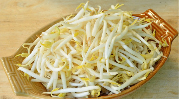 Is Sprouting Mung Bean Calorific? Does Eating Bean Sprouts Make You Fat?