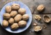 Does Walnut Make You Fat? Calories in 100g of Walnuts Revealed.
