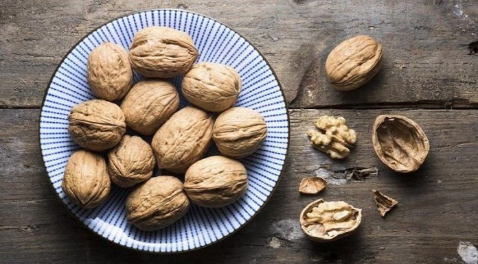 Does Walnut Make You Fat? Calories in 100g of Walnuts Revealed.